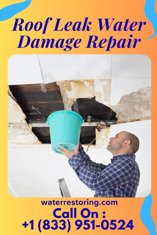 Roof Leak Water Damage Repair in Clawson, UT